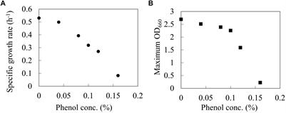 coli phenol frontiersin metabolism flux metabolic escherichia reveals carbon effect analysis central